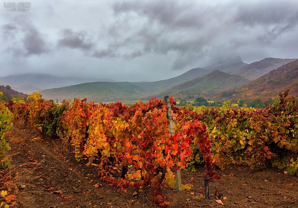 Проверено холодом