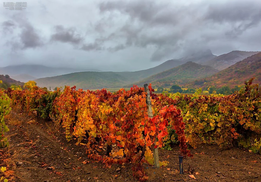 Проверено холодом